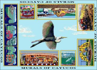 Cayucos Mural Society Throw